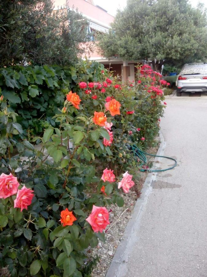 Apartman Olive 2 Zara Esterno foto